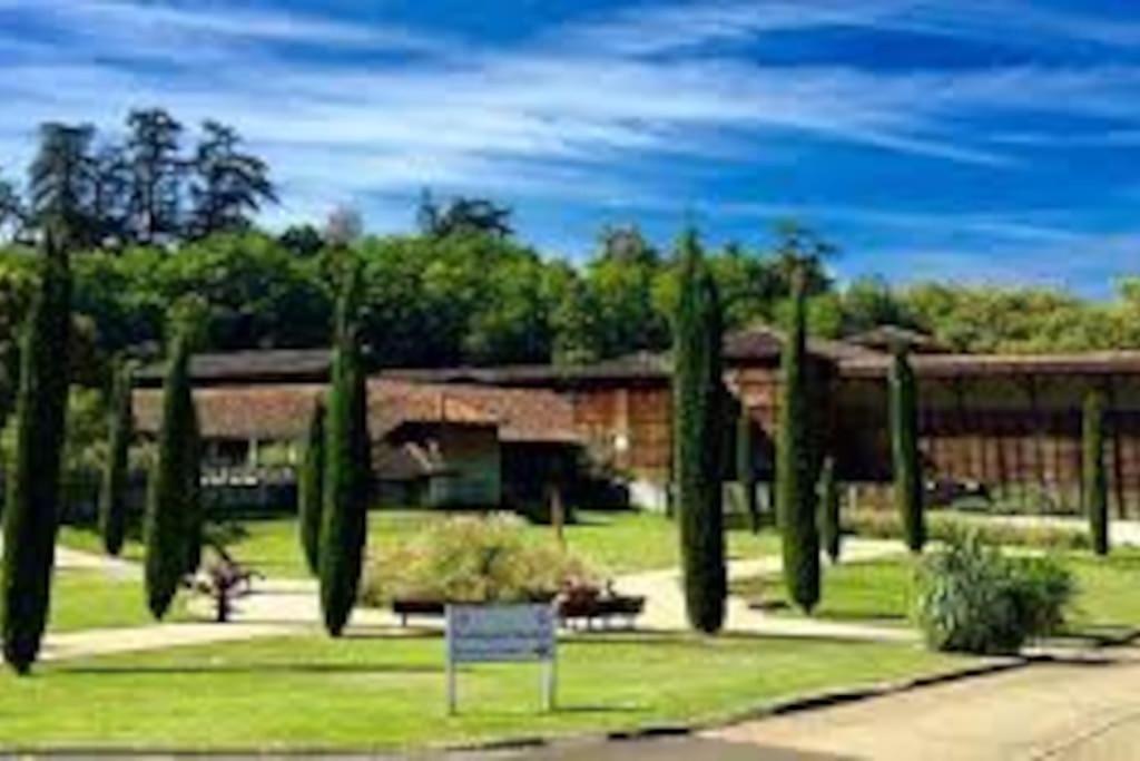 2 Lits . 500m Des Thermes. 1 Km Du Appartement Cazaubon